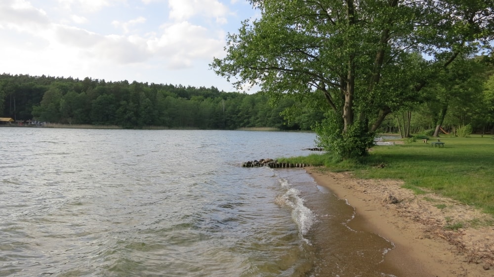 neuglobsow stechlinsee ufer